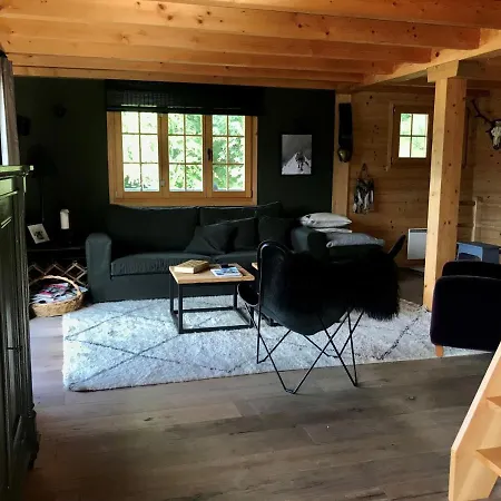 Cozy Chalet In With Private Terrace
